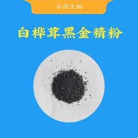 白桦茸黑金精粉 40%多糖 俄罗斯桦褐孔菌黑金粉 水溶现货量大从优