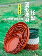 �����������ϵ������̻����н�ˮ���̼Ӻ���������֬Բ�ε�ײ�