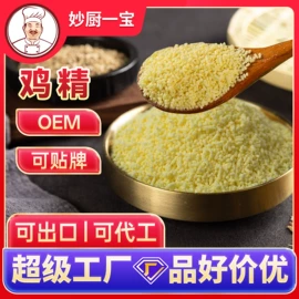其他香辛料;烧烤调味料;味精、鸡精