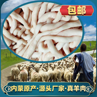 ��������c���c�����c���cС�cƤ�����s�u�˵�ʳ�������✫����