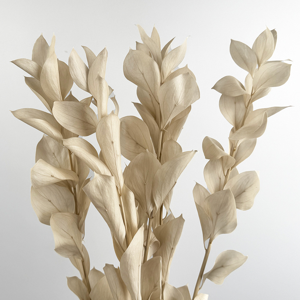 Imortales flores de naranja importación de alta calidad flores verdaderas flores secas ramo de flores DIY día de San Valentín flores hechas a mano fábrica de Yunnan al por mayor