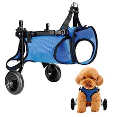 ペットの犬の車椅子の犬のリハビリ歩行補助車の補助車のペットの犬の代行車の卸売り