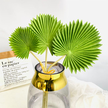 ���汱�WinsPU�����~ ���~ �R��ɏ�~ ���~�ؙ��~�ҾӲ廨�b����l