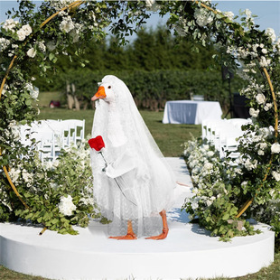 Cross-Border New Bride Goose Costume Holiday Porch Goose Costume Wedding Garden Goose Outdoor Decoration Costume Set