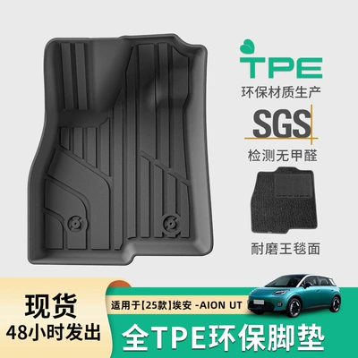 Car Floor Mats: Aion Modelə uyğun ayaqaltı