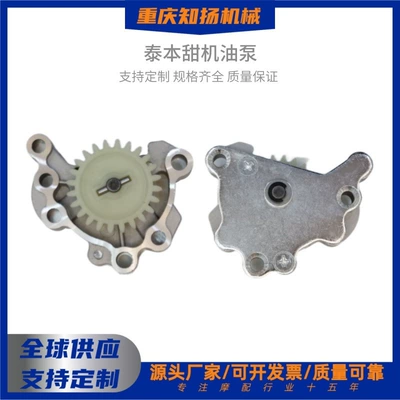 Suitable for Taiben Tian-12 Oil Pump Assembly Tian Motorcycle Engine Oil Pump Accessories Factory Cross-Border