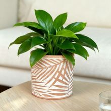 �O���t��������ֱ�^���l����ֲ����څ�ݾӼҔ[��͸���m��