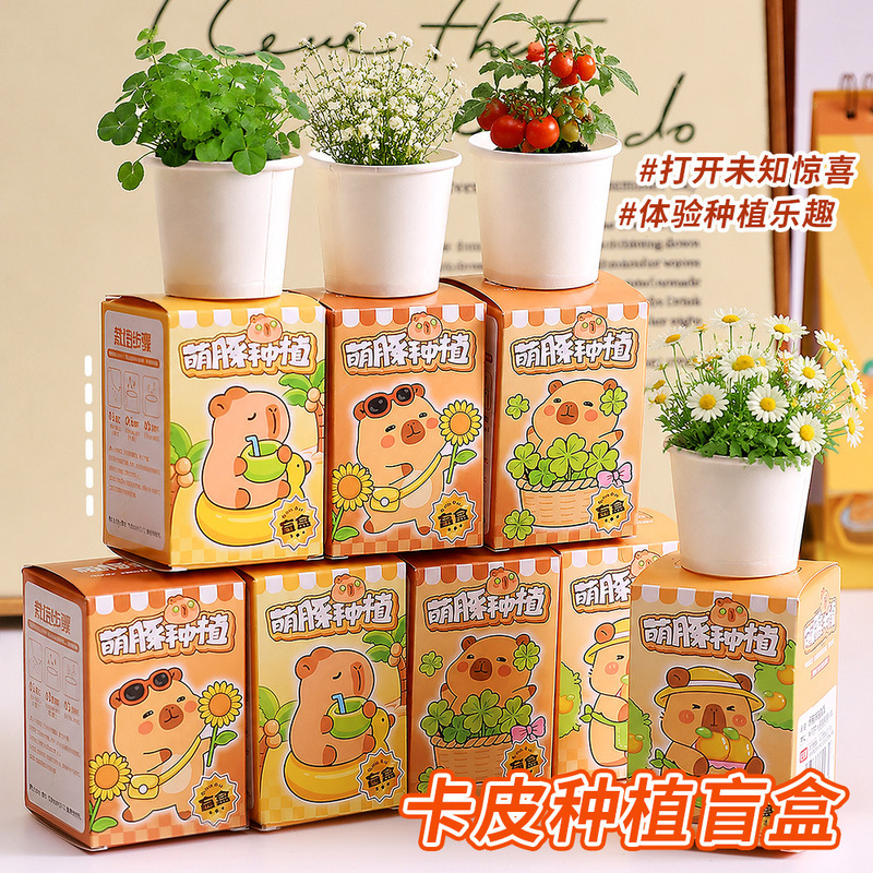 Children's Cartoon Planting Small Potted Plant Gift Blind Box Student Fun DIY Plant Blind Box Kindergarten Reward Gift Children's Cartoon Planting Small Potted Plant Gift Blind Box Student Fun DIY Plant Blind Box Kindergarten Reward Gift