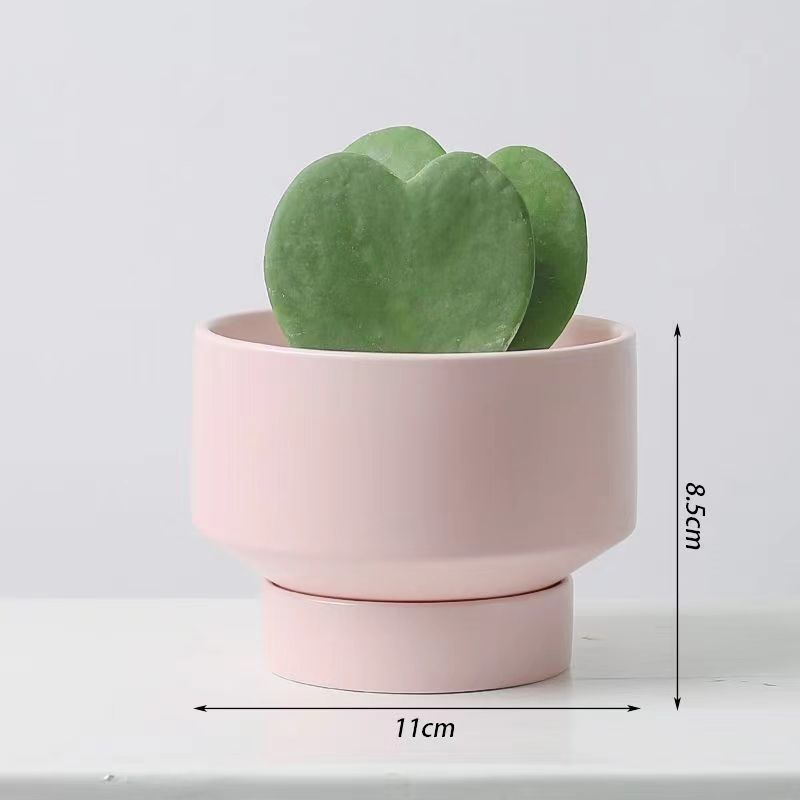 Un cactus de corazón pequeño maceta flores suculentas plantas verdes fáciles de alimentar y vivir decoración de escritorio de oficina fácil de vivir