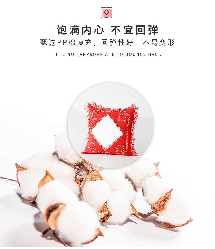 欧式抱枕_04.jpg