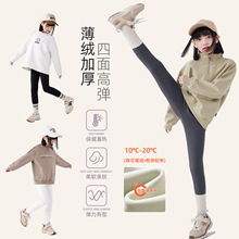 女童薄绒鲨鱼裤2025秋冬季儿童加厚保暖裤中大童加绒打底裤a类