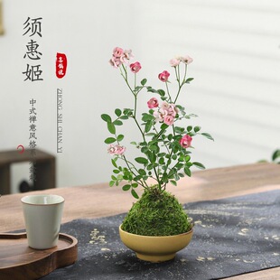 횻ݼ����Լ����tֲ��͏d�҃�����[�����B�Gֲ�辰���܃����՚�