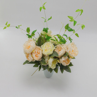 ���潁��5�^ĵ��ins���W��ĵ���ٻ��҃Ȳ�����ˇ��c�����[���ٻ�