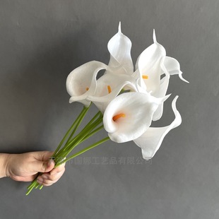 �������pu�R��ɏ�ҾӾƵ��bS�����l�Ĕz���߽����ٻ���c�ָ�