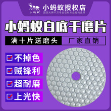 小蚂蚁干磨片石材抛光片大理石石英石瓷砖打磨金刚石角磨机打磨片