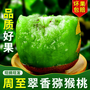 �����������J���ҾG���殐�����������rˮ������������]5