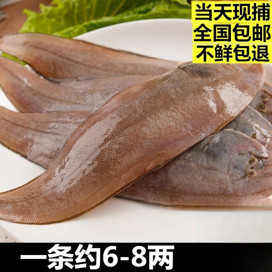野生龙利鱼新鲜冷冻舌头鱼鲜活踏板鱼牛舌鱼新鲜海鲜非巴沙鱼