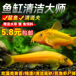 ��̦��Ꭷ�^�p�~�坍�S����������~�~�׳����坍�~�����������~