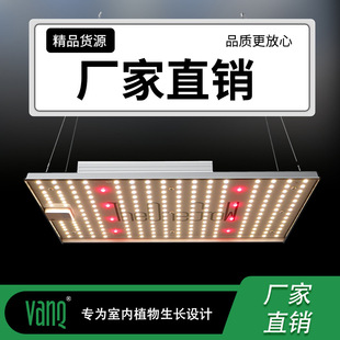 Quantum Board Plant Growth Lamp Large Greenhouse Fill Light Equipment Energy-Saving Dimming System Ip65 Factory Direct Sale