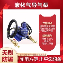 12v液化气泵倒气泵24伏丙烷充气泵车载小型气泵220v液化气垒德株
