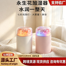 2026新款永生花加湿 氛围卧室七彩usb充电家用车载迷你加湿器小型