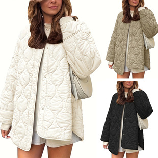 �羳�羳���Q���l2025�ﶬ�¿�W���L�W����s��ɫ�A�I��������