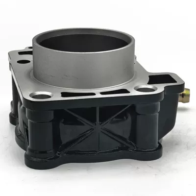 Cylinder and parts for Bajaj Pulsar Ns200