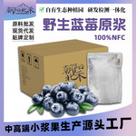 源头工厂家野生蓝莓原浆各种水果原汁小浆果汁原料批发现货可寄样