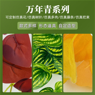 ?���W�L�f����ϵ�оGֲ�b�֦�Gֲ�͏d�b���ؔ[�����辰