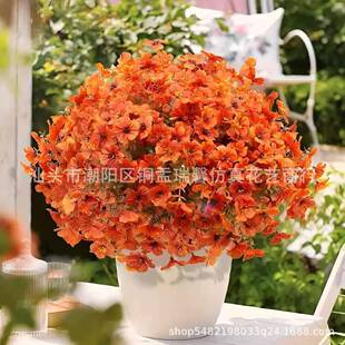 ���R�d�＾����ֲ������ٻ�7���ȼ�����ɫ���_�m�Ҿ����ϻ��b�