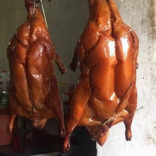 �������l�Vʽ������ �����������l ���Ϻô�Ƥˮ SC���Sζ�ͷ���