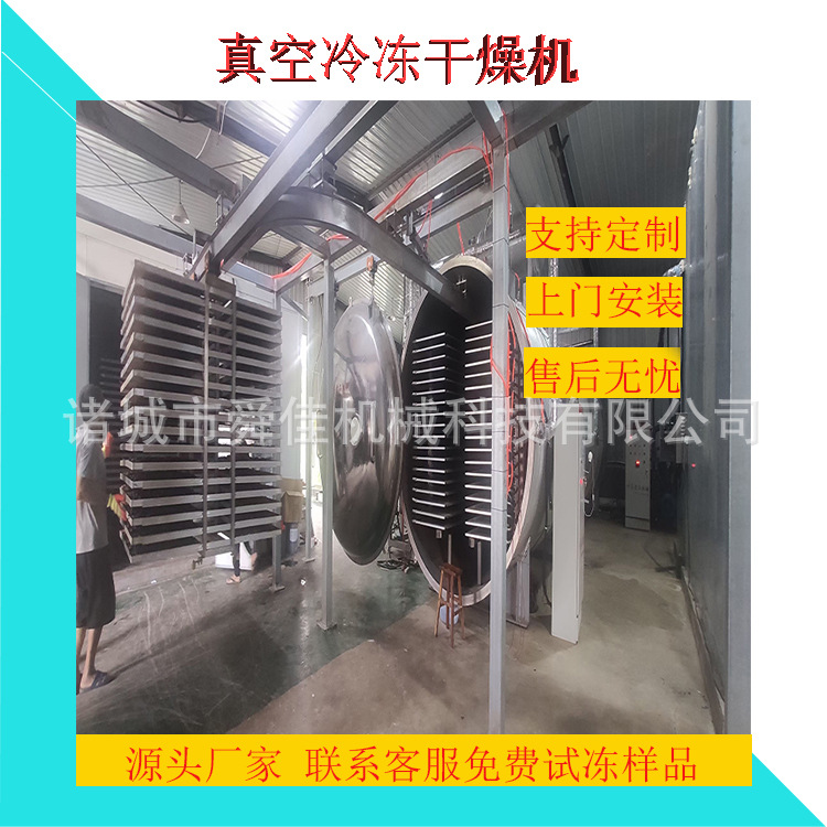 低温真空干燥仓 上海青胡萝卜真空冻干机 低温脱水冻干设备