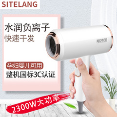 Stronghold High-Speed Hair Dryer, Household High Power Hair Styling Salon Ionic Protecting Hair Dryer with Cold and Hot Air