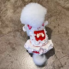 猫咪狗狗衣服宠物公主迪马尔济斯狗狗中小型春夏素梅红裙子新款