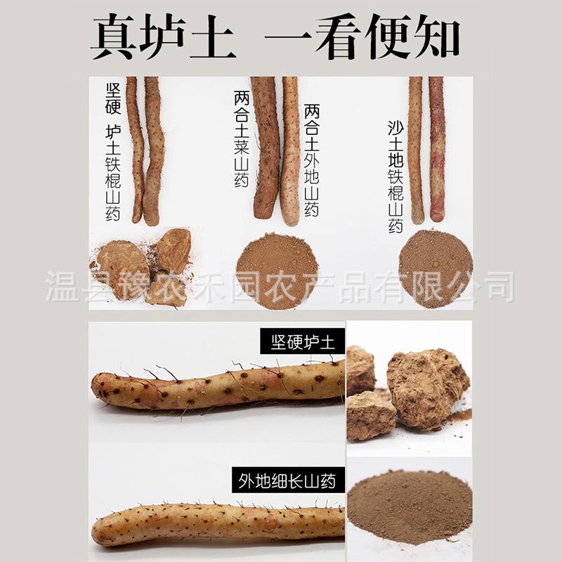 河南焦作铁棍山药垆土铁棍山药怀山药非淮山药特产农产品产地批发