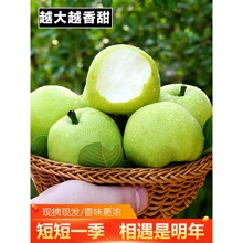 �ʹ��殔�����r�������]��������ˮ���ִ�����������Xɽ���Ї�