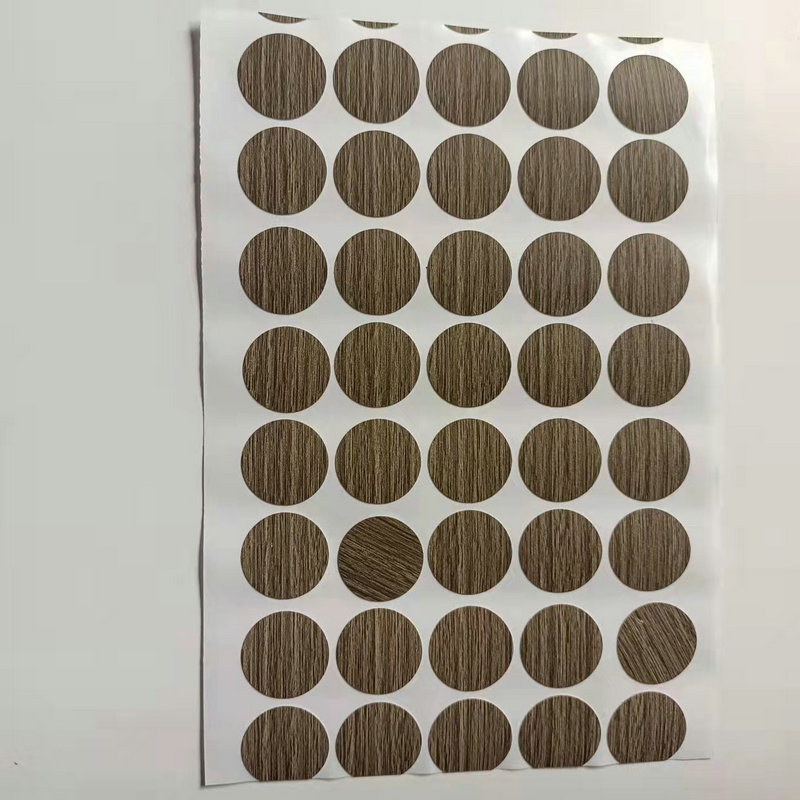 6b586d47-7c7a-4b9f-bb22-8c8909