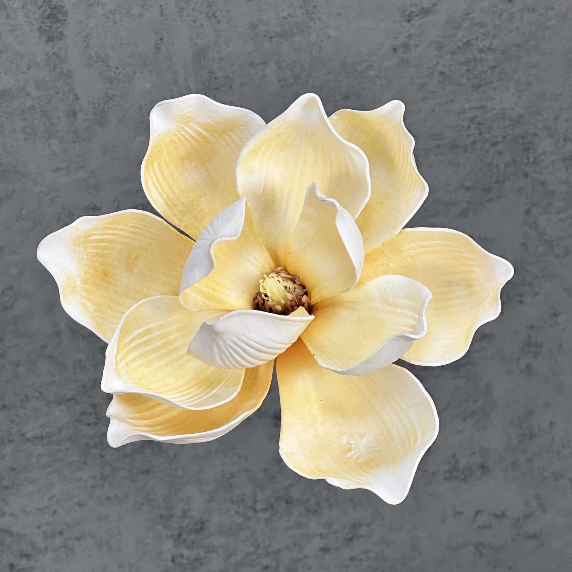 Flor de simulación transfronteriza EVA cabeza de magnolia 13cm tacto tocado kapok decoración decoración decoración flor falsa al por mayor