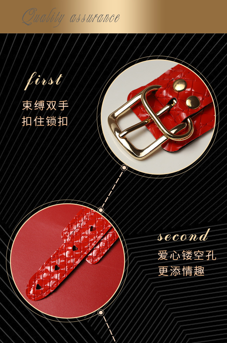 Jiuai SM Bondage Set 7-Piece Kit with Handcuffs, Whip, Ball Gag and Nipple Clamps — detail image 4
