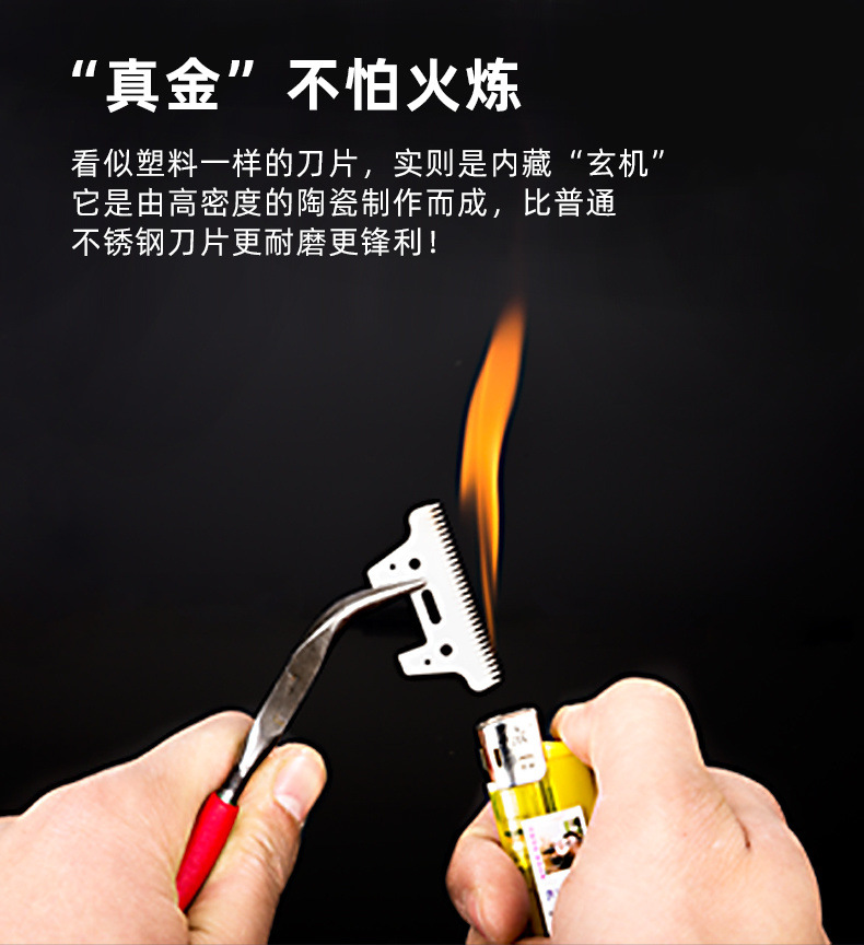 3449b909-ab7f-48d5-9cc0-5f3d0c533495.jpe