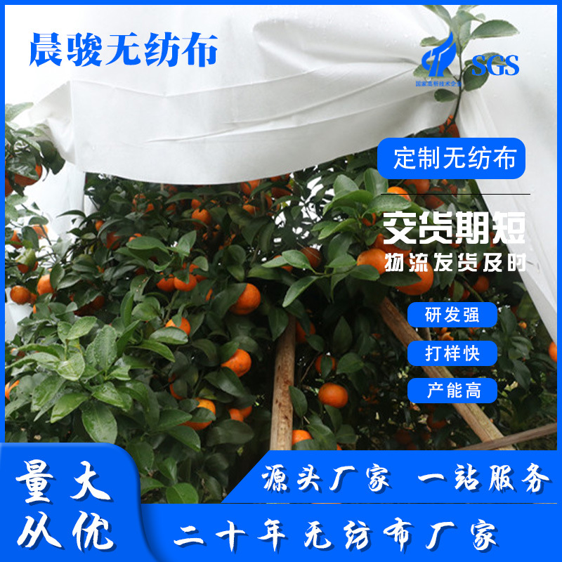 批发绿色农用防尘布 草籽草坪夏季园林护坡边坡绿化无纺布盖土网