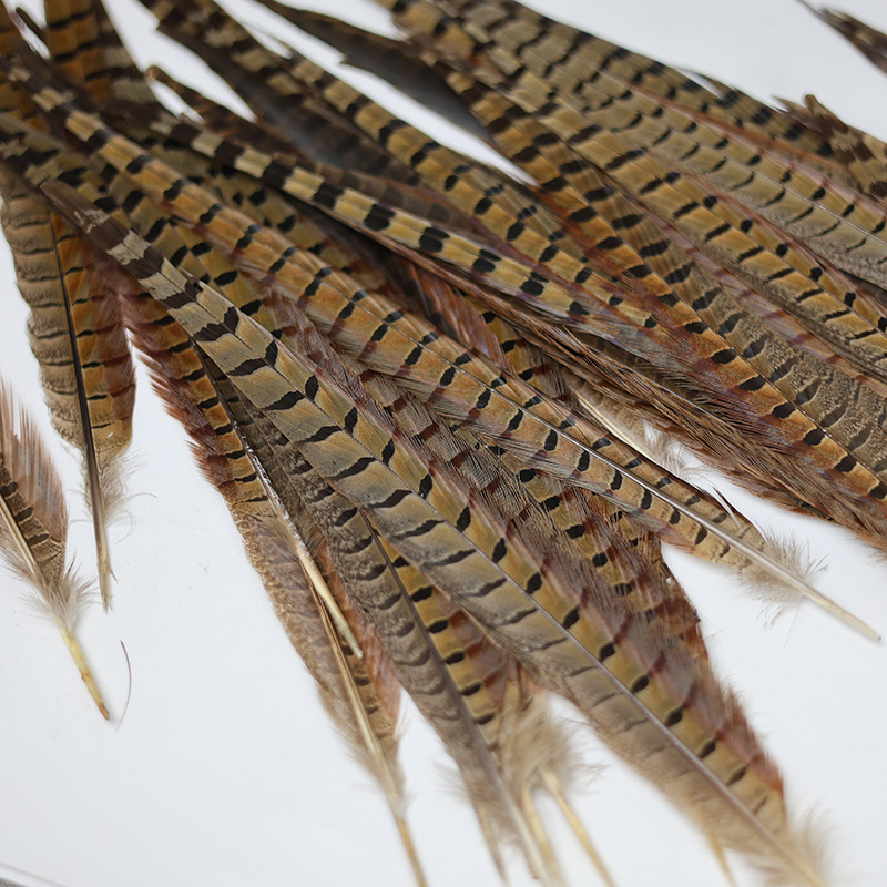 Mayorista 15 - 100cm plumas de cola de pollo de montaña, plumas de gato, plumas de gallo de montaña, plumas de gallo de Beijing, plumas de gallo salvaje