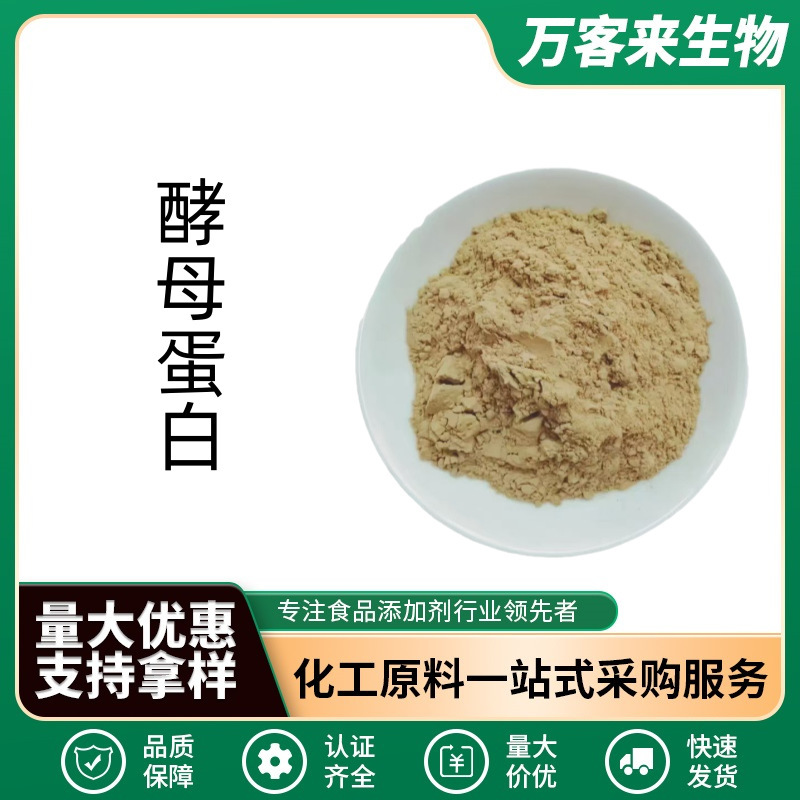 Wholesale Yeast Protein Powder in Stock, Food Grade F80Ecf90Ec Yeast Protein Substitute for Whey Protein