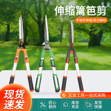 �h�ʼ����G�h����s��ƺ���޼���֦��������֦��@�ִ����