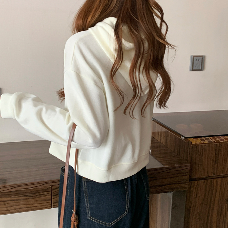 Summer New Short Sweatshirt Women's Spring and Autumn Thin Loose Ins Trendy Bf Lazy Style Design Sportswear Top