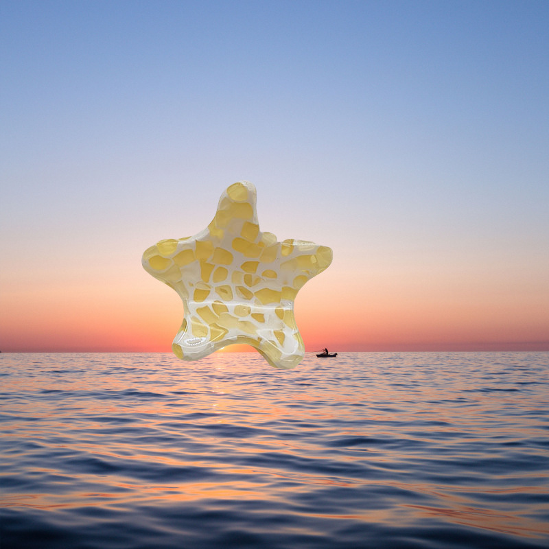 爆款海星醋酸刘海夹早春轻奢抓夹侧边夹高级感头饰碎发神器发饰|undefined