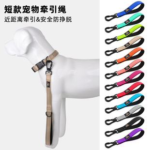 Cross-border Direct Supply Explosions Dog Traction Rope Large and Medium-sized Dog Training Pet Nylon Short Traction Strap