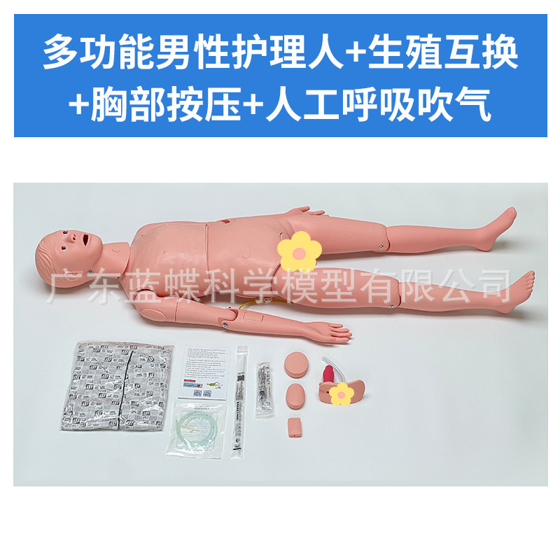 Ů�Ի�����ģ�� �������������ϻ�����ѵ ��ɩ����ʦ�̾߻���ģ��