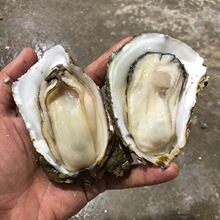 ��ɽ���rˮ�aȥ��ĵϠ�ش�Ϡ��տ���r��F������⼴ʳ����10��