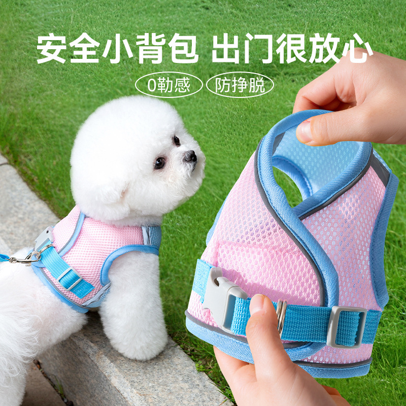 Verano de color de cuerda de tracción para perros cinturón de pecho chaleco de malla transpirable para caminar cuerda de perro cadena de perros mascotas cuerda de gato